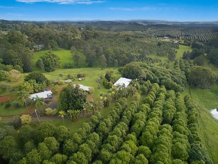 1555 Dunoon Road, Dunoon NSW 2480