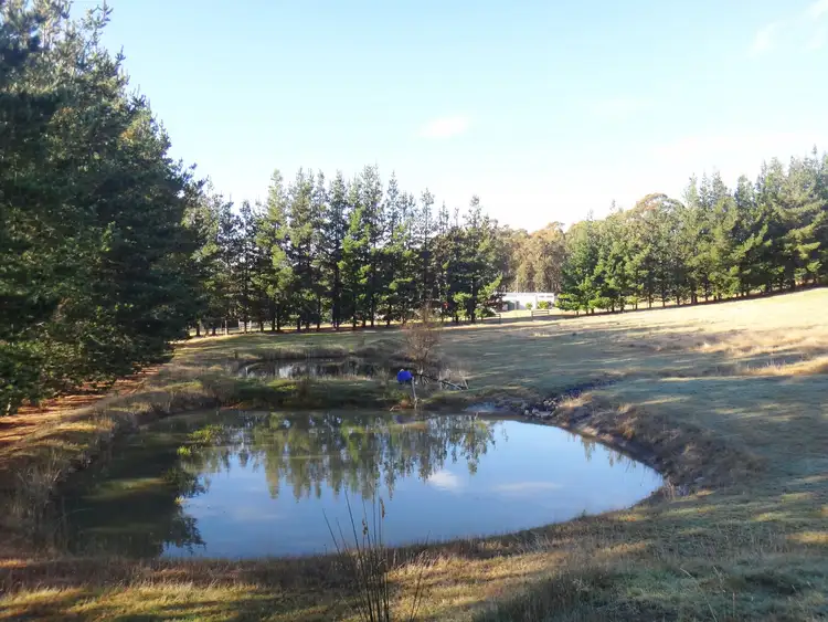 Third view of Homely house listing, 41 Cleland Drive, St Helens TAS 7216