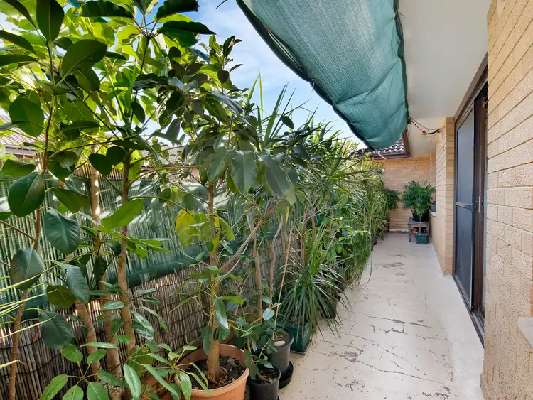 Fourth view of Homely unit listing, 8/16 Lismore Avenue, Dee Why NSW 2099