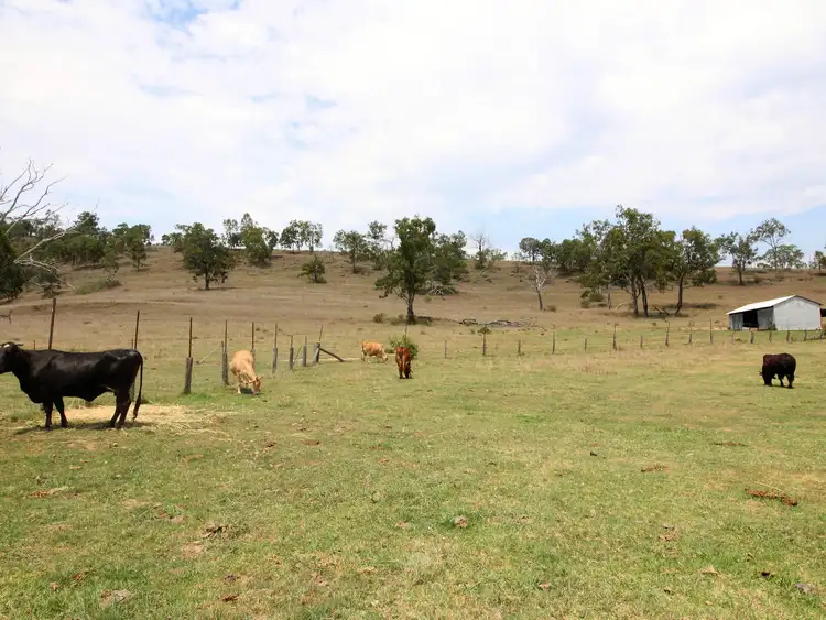 Sixth view of Homely rural property listing, 8247 D'Aguilar Highway, Moore QLD 4306