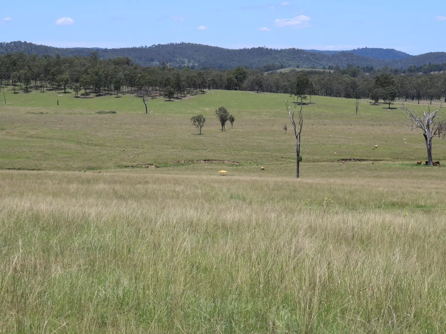 Main view of Homely rural property listing, 0 Morden Road, Biarra QLD 4313