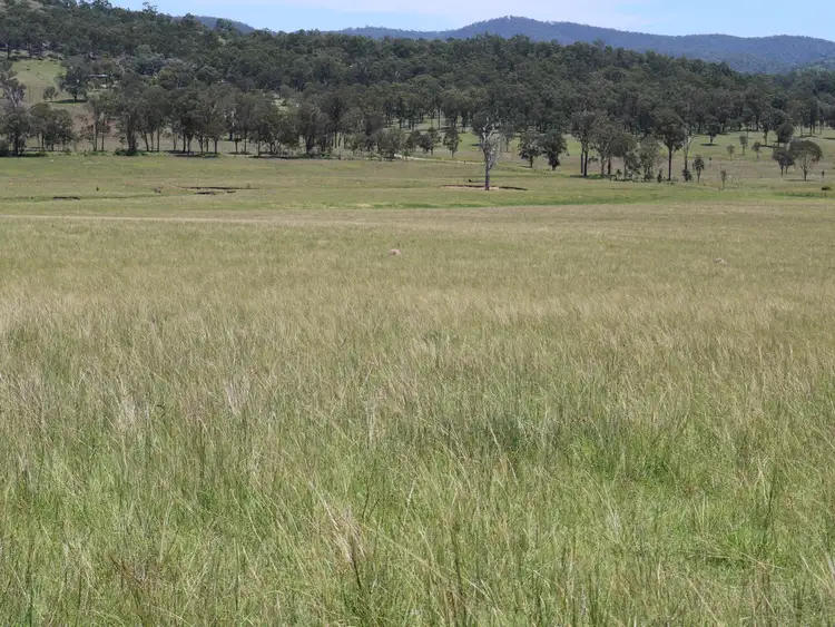 Fourth view of Homely rural property listing, 0 Morden Road, Biarra QLD 4313