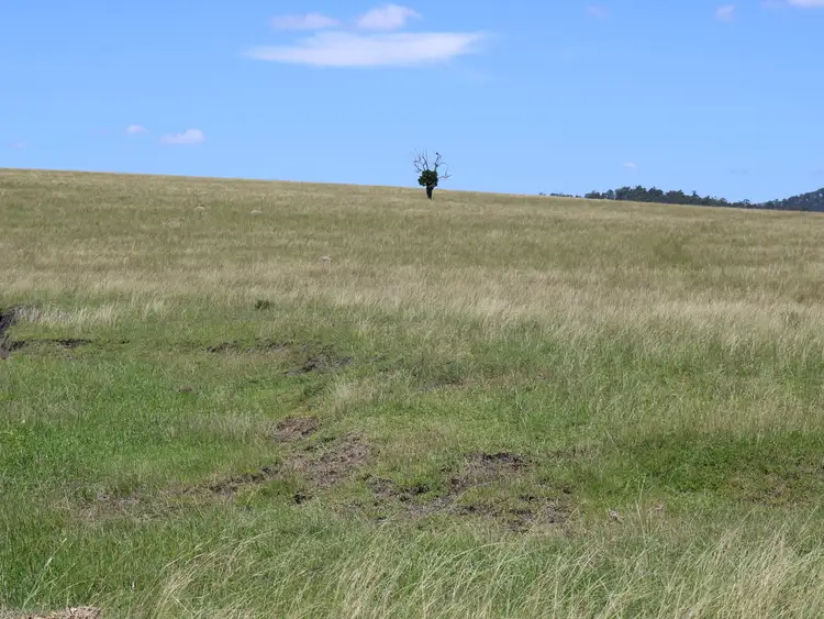 Seventh view of Homely rural property listing, 0 Morden Road, Biarra QLD 4313