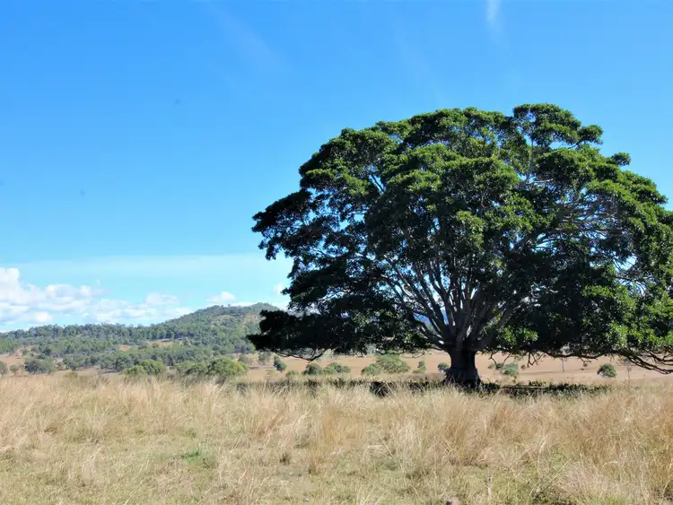 Seventh view of Homely rural property listing, Lot 2 Morden Road, Biarra QLD 4313