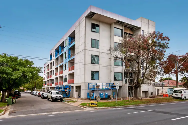 304/99 Anzac Highway, Ashford SA 5035
