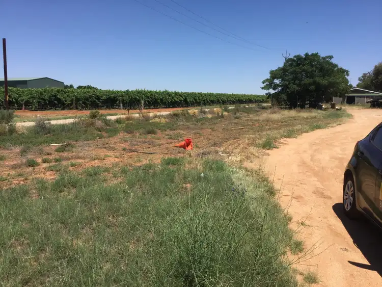 Fifth view of Homely land listing, 142 Gordon Road, Barmera SA 5345