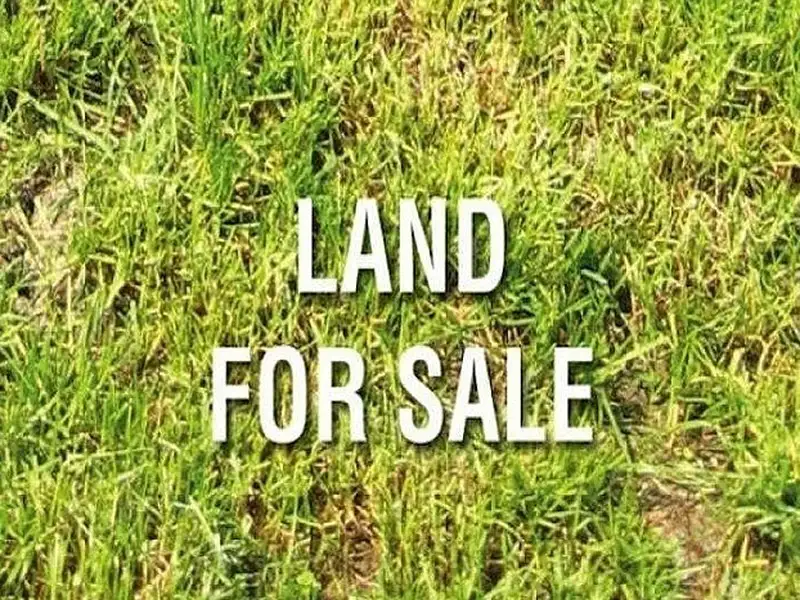 Main view of Homely land listing, 80 Regency Road, Ferryden Park SA 5010