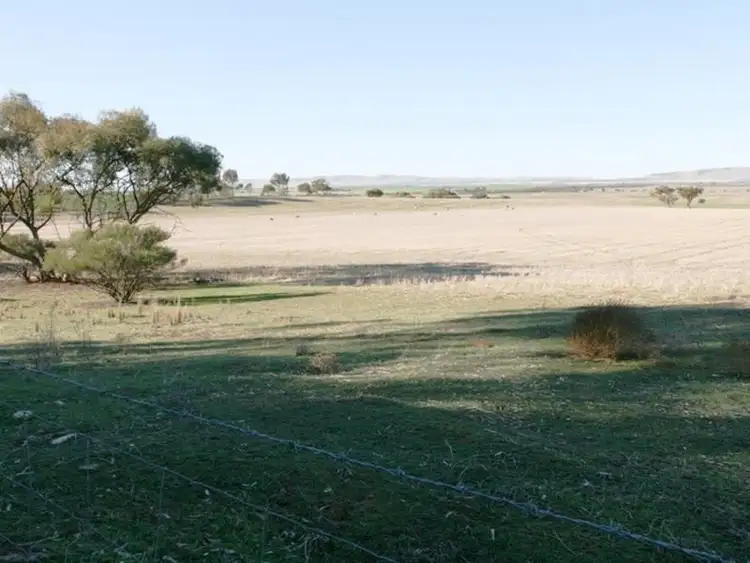 Main view of Homely house listing, 104 Barunga Gap Road, Bute SA 5560