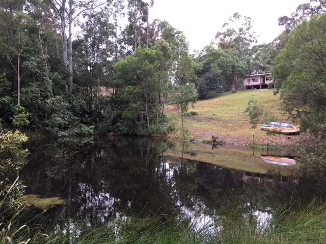 Main view of Homely house listing, 115 Millers Road, Newee Creek NSW 2447
