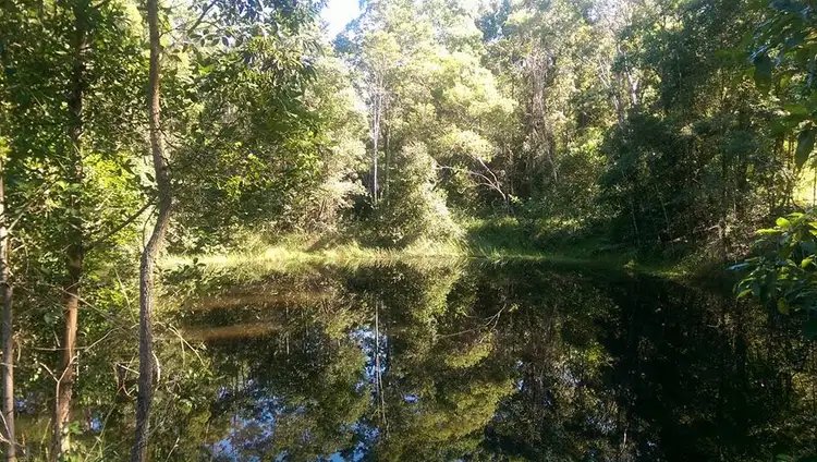 Second view of Homely house listing, 115 Millers Road, Newee Creek NSW 2447
