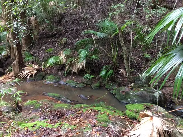 Third view of Homely house listing, 115 Millers Road, Newee Creek NSW 2447