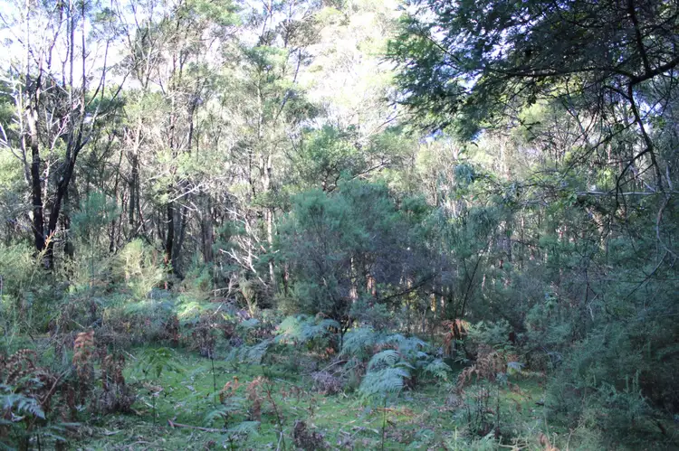 Fourth view of Homely land listing, Lot 202 Princes Highway, Wolumla NSW 2550