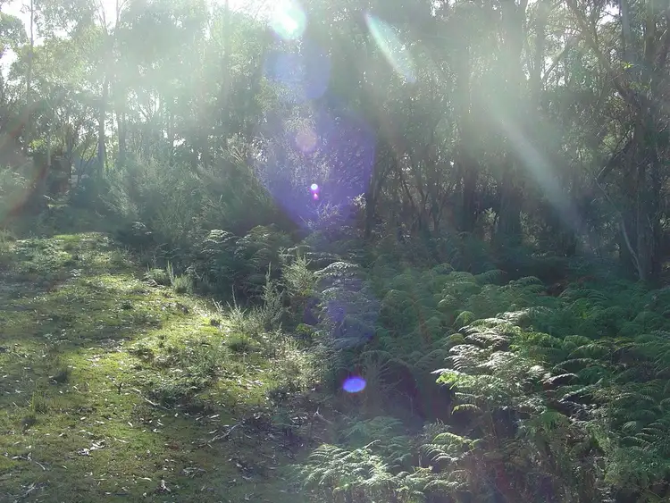 Fourth view of Homely land listing, 238 Harveys Farm Road, Bicheno TAS 7215