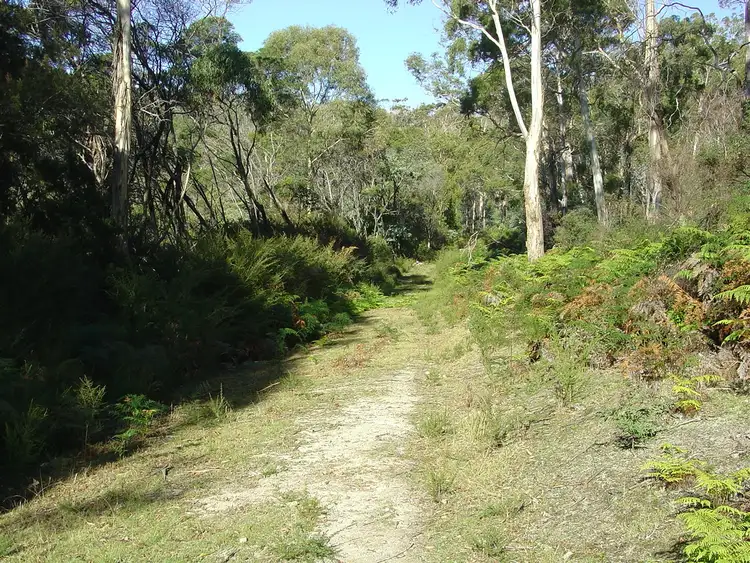 Seventh view of Homely land listing, 238 Harveys Farm Road, Bicheno TAS 7215