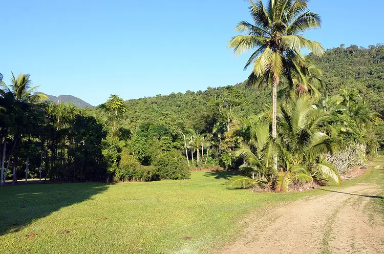 388 Finlayvale Road, Finlayvale, Mossman QLD 4873