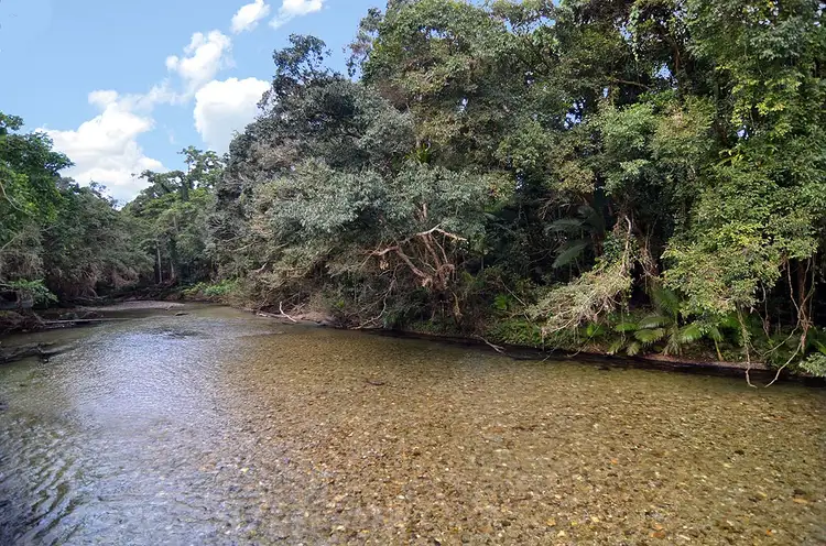 Sixth view of Homely land listing, 388 Finlayvale Road, Finlayvale, Mossman QLD 4873