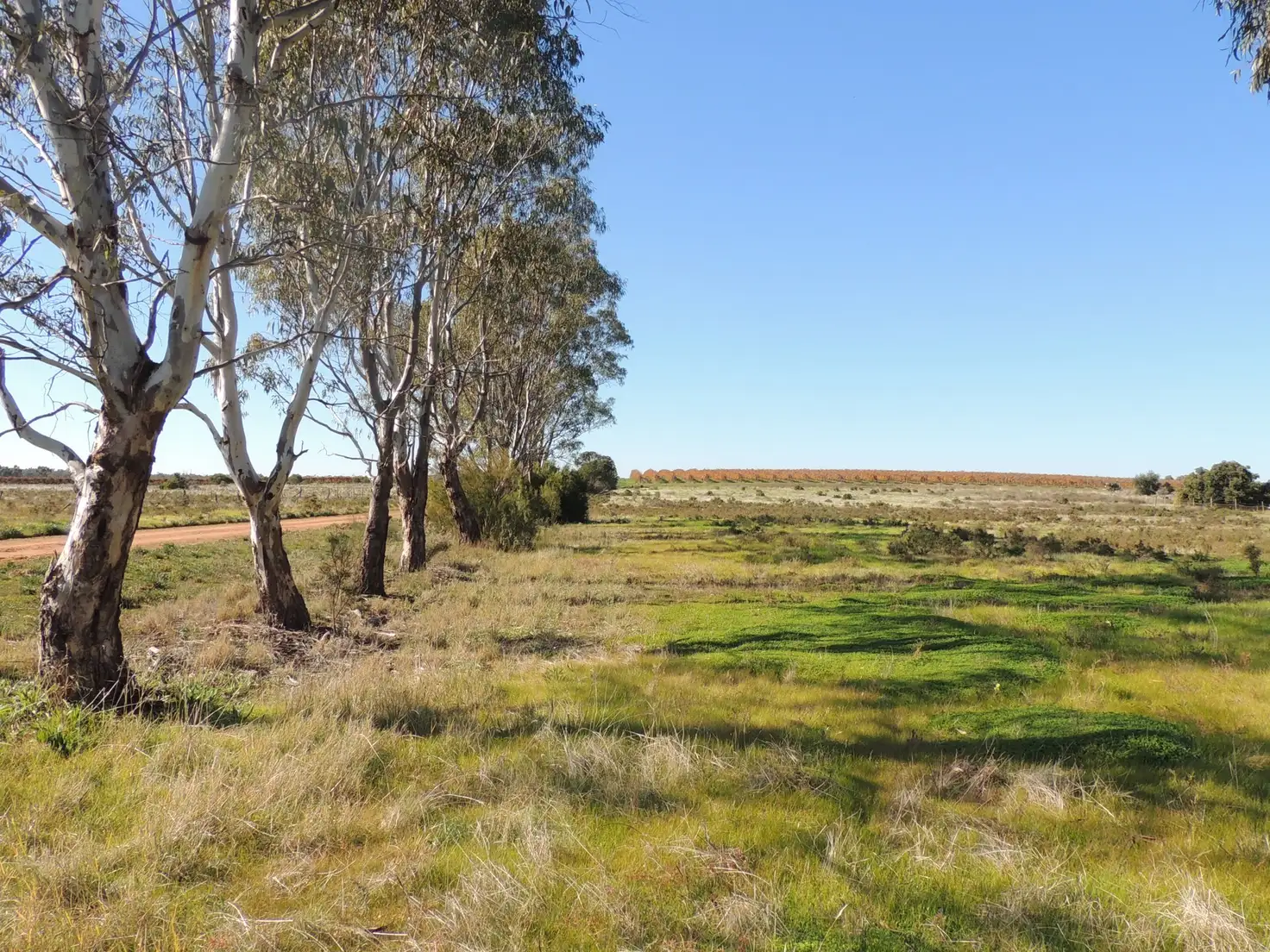 Main view of Homely land listing, Lot 6 Koraleigh Road, Tooleybuc NSW 2736