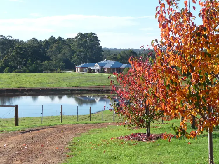 Second view of Homely rural property listing, 544 Boorara Road, Northcliffe WA 6262