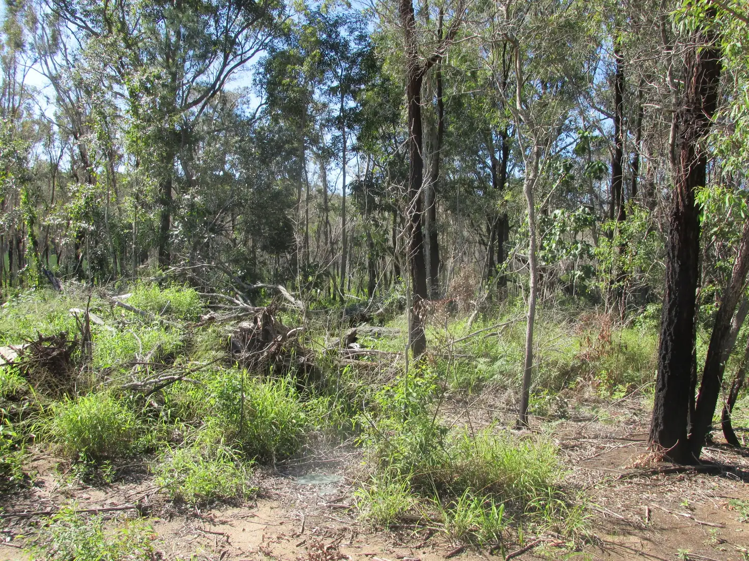 Main view of Homely land listing, 26 Lemontree Drive, Macleay Island QLD 4184