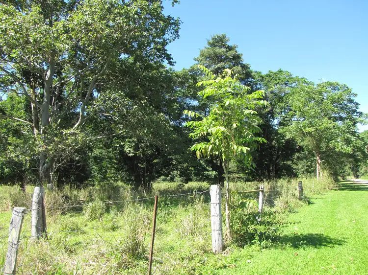 Third view of Homely land listing, Lot 6 Stewart Creek Road, Stewart Creek Valley, Daintree QLD 4873