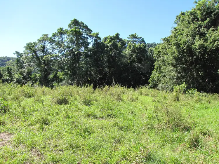 Fourth view of Homely land listing, Lot 6 Stewart Creek Road, Stewart Creek Valley, Daintree QLD 4873