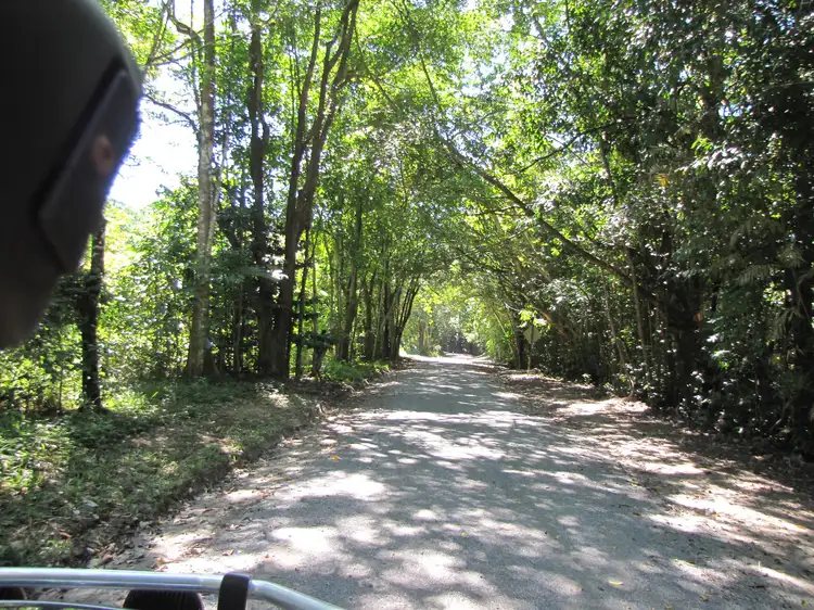 Sixth view of Homely land listing, Lot 6 Stewart Creek Road, Stewart Creek Valley, Daintree QLD 4873