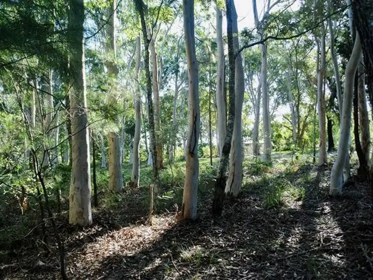 Third view of Homely land listing, 16 Parakeet Street, Macleay Island QLD 4184