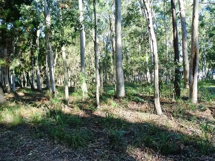 Fourth view of Homely land listing, 16 Parakeet Street, Macleay Island QLD 4184