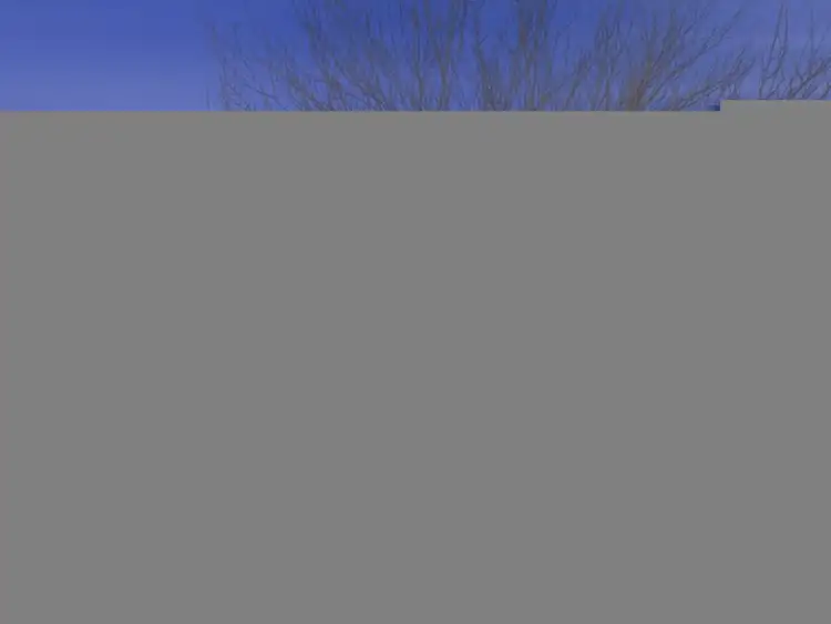 64 Peppertree Drive, Point Cook VIC 3030