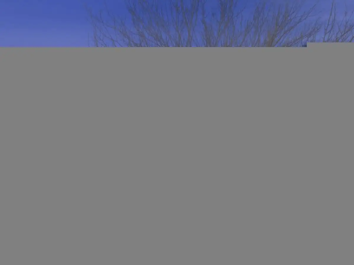 Main view of Homely house listing, 64 Peppertree Drive, Point Cook VIC 3030