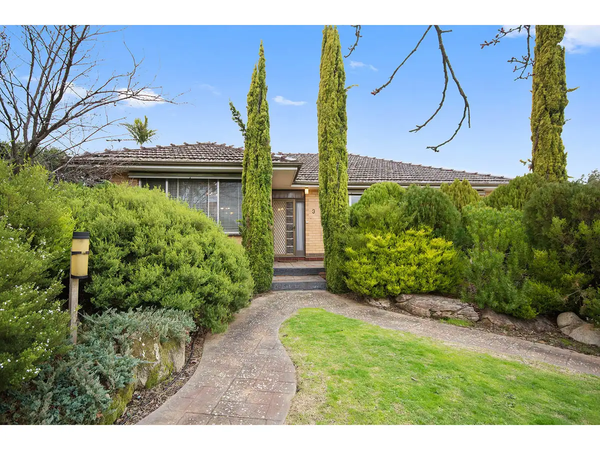 Main view of Homely house listing, 3 Walnut Grove, Dernancourt SA 5075