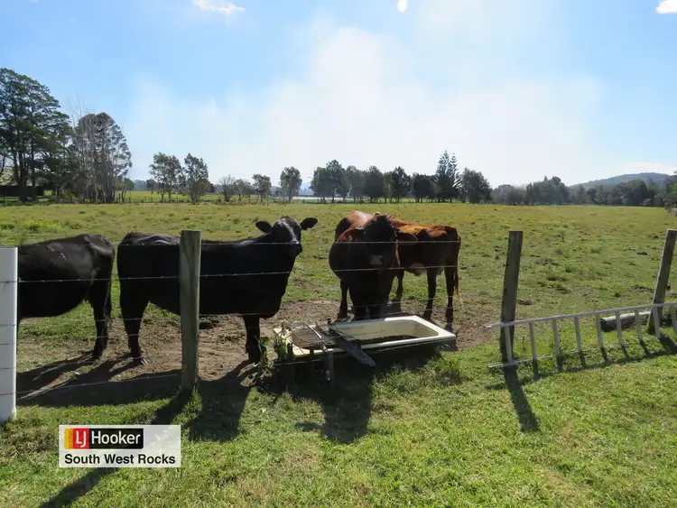 Third view of Homely rural property listing, 171 Boyters Lane, Jerseyville NSW 2431