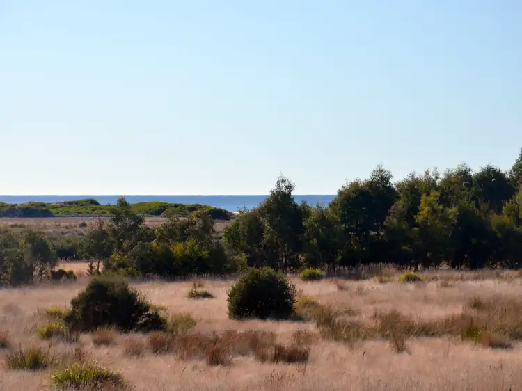 Main view of Homely house listing, 39 Macquarie Street, Seymour TAS 7215