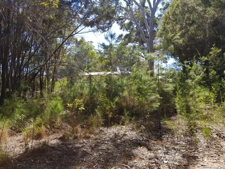 Main view of Homely land listing, 7 Jupiter street, Russell Island QLD 4184