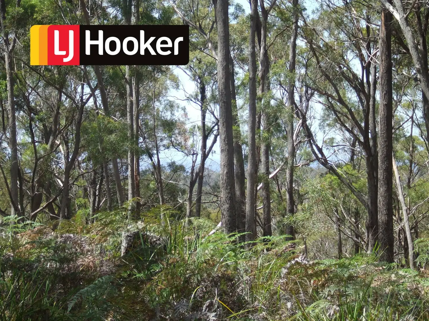 Main view of Homely land listing, 697 Binalong Bay Road, St Helens TAS 7216