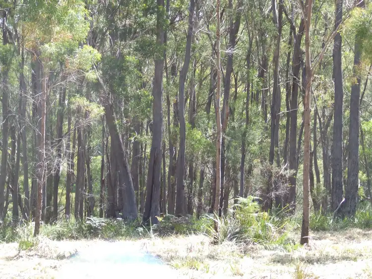 Third view of Homely land listing, 697 Binalong Bay Road, St Helens TAS 7216