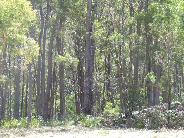 Fourth view of Homely land listing, 697 Binalong Bay Road, St Helens TAS 7216