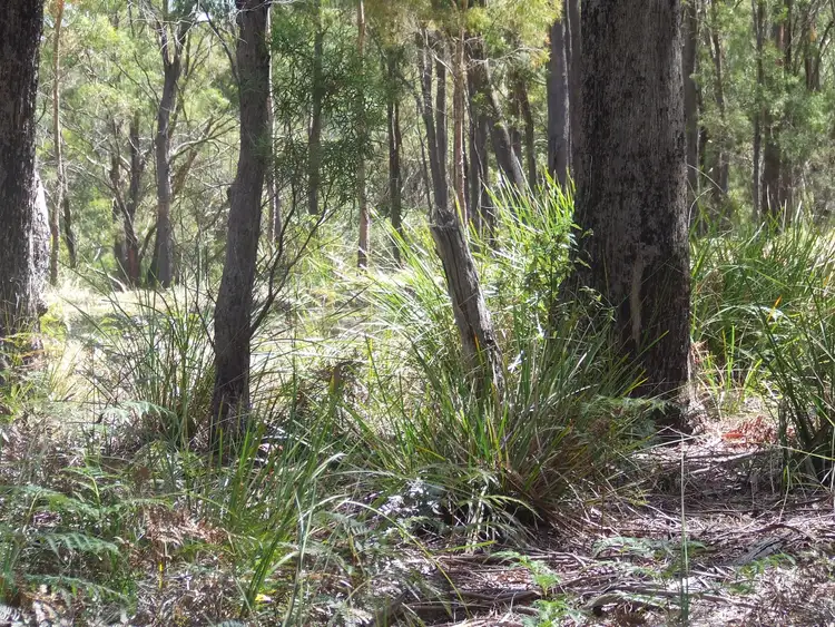 Fifth view of Homely land listing, 697 Binalong Bay Road, St Helens TAS 7216