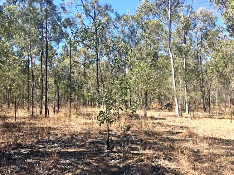 Fifth view of Homely land listing, Lot 39 Tillack Road, Gatton QLD 4343