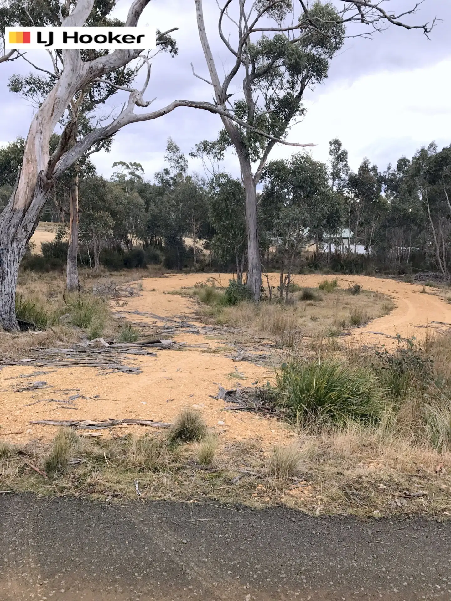 Main view of Homely land listing, 1 Brewis Place, Lake Leake TAS 7210