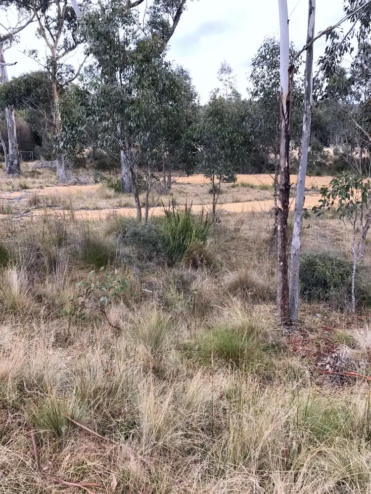 Third view of Homely land listing, 1 Brewis Place, Lake Leake TAS 7210