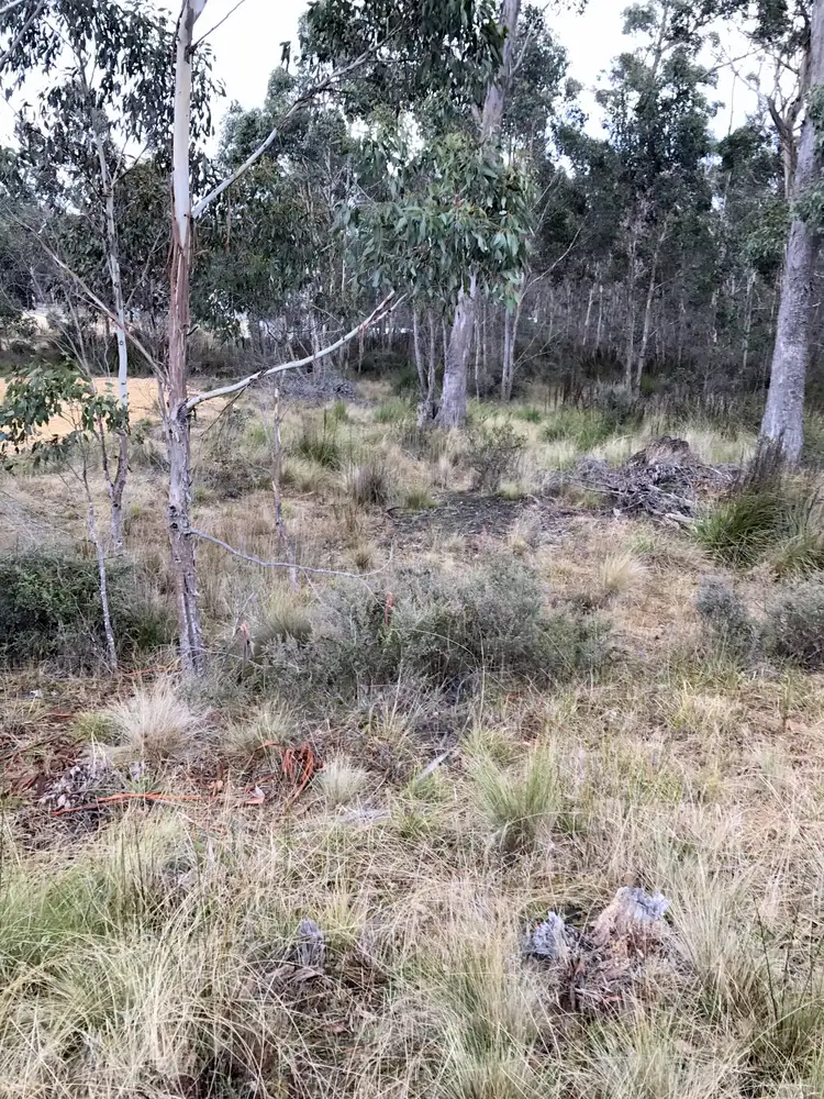 Fifth view of Homely land listing, 1 Brewis Place, Lake Leake TAS 7210