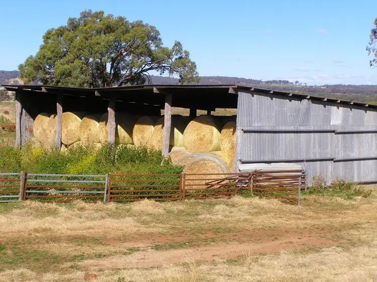 Fifth view of Homely rural property listing, 8263 Gwydir Highway, Inverell NSW 2360