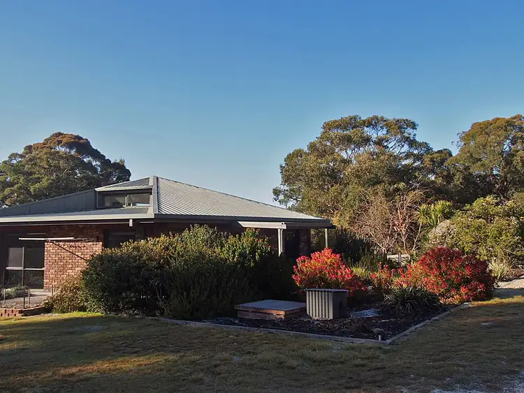 Main view of Homely house listing, 20 Nicks Close, St Helens TAS 7216