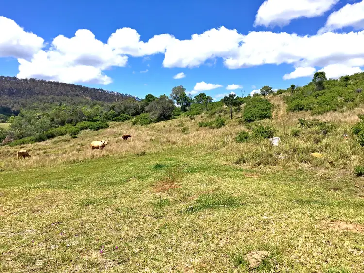 Sixth view of Homely rural property listing, 1904 Gatton - Cilfton Road, Fordsdale QLD 4343