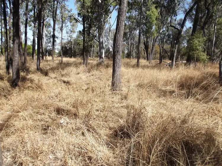 Fourth view of Homely rural property listing, 19 Albert Lane, Clermont QLD 4721