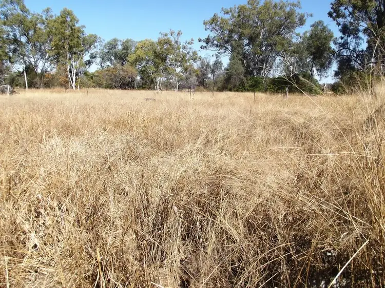 Fifth view of Homely rural property listing, 19 Albert Lane, Clermont QLD 4721