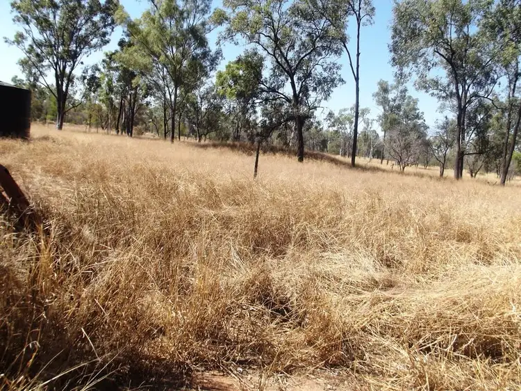 Sixth view of Homely rural property listing, 19 Albert Lane, Clermont QLD 4721