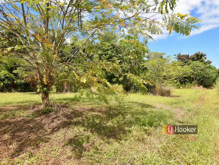 Main view of Homely land listing, 222 East Feluga Road, East Feluga QLD 4854