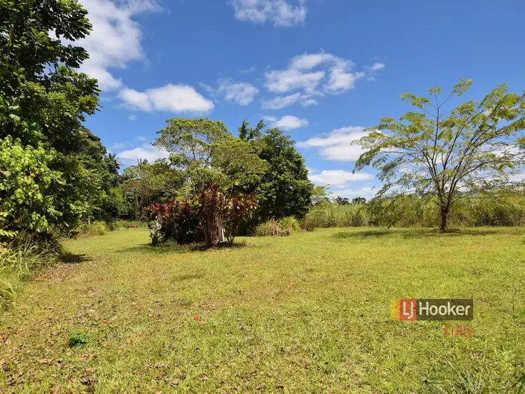 Third view of Homely land listing, 222 East Feluga Road, East Feluga QLD 4854